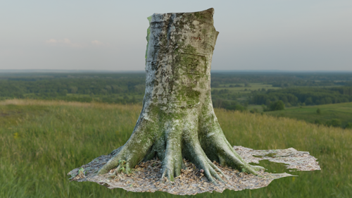 Tree Trunk Base - Photoscan preview image